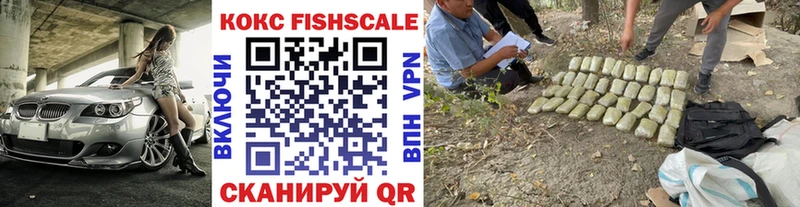 сколько стоит  Шали  Кокаин Fish Scale 
