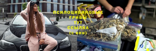 стафф Саяногорск