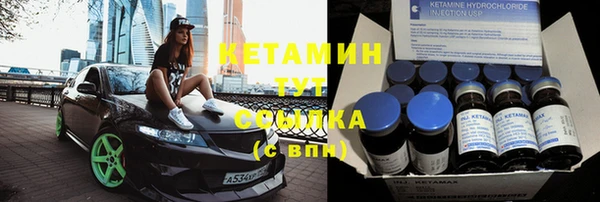 шишки Сатка