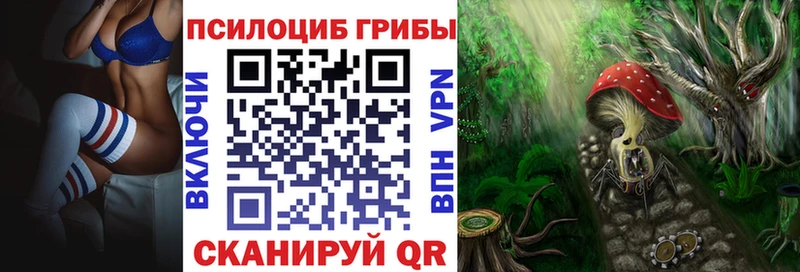 где продают   Шали  Псилоцибиновые грибы Psilocybe 